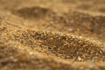 A macro photograph of fine golden sand grains