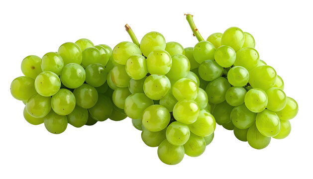 Three clusters of ripe green grapes, isolated