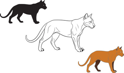 Panther walking vector set with silhouette, outline, and colored wild cat illustrations isolated
