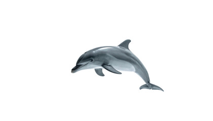 Obraz premium Glossy dolphin leaping upwards isolated on stark black background