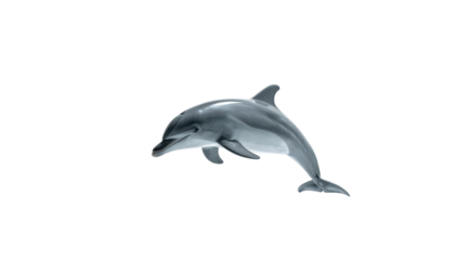 Glossy dolphin leaping upwards isolated on stark black background