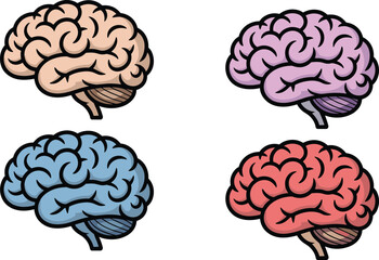 Human brain anatomy illustrations in multiple colors, medical vector set for neuroscience education, biology diagrams, cognitive science learning materials