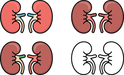 Human kidneys illustration, renal system anatomy, medical organ graphic, kidney pair vector, healthcare biology artwork, urinary system diagram, anatomical kidney icons
