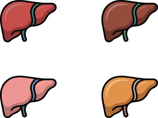 Human liver illustrations, medical organ icons, anatomical liver graphics, healthcare vector set, colorful liver drawings, biology anatomy symbols, diagnostic medical artwork