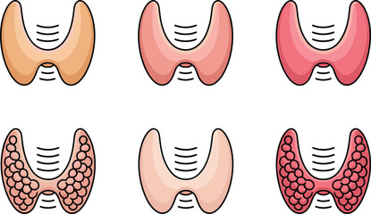 Thyroid gland vector illustration set, endocrine system anatomy, medical thyroid diagram, hormone gland icon pack, human neck anatomy graphic.