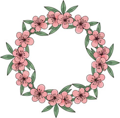 Blossom cherry flower  wreath pink vector illustration