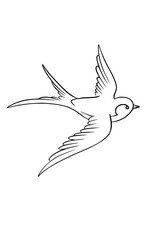 Graceful swallow bird soaring through the sky showcasing freedom and natural beauty for your creative projects