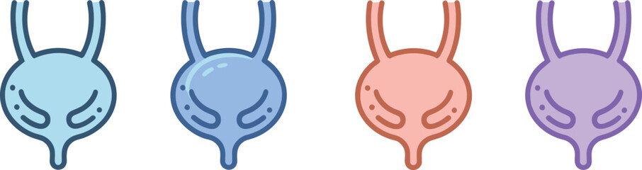 Colorful human bladder anatomy icons, medical urinary system illustration set, healthcare vector organ diagram, urology education graphic for diagnosis and study