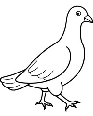 Charming line art pigeon stands poised, ready to fly or walk, symbolizing peace, messages, and urban nature in a clean, versatile design element.
