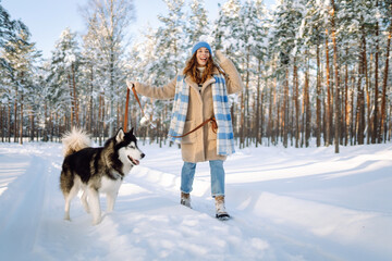 A cheerful woman in a warm coat and blue hat walks her husky in a snowy forest. A beautiful woman and her pet enjoy a winter day. Concept of friendship and fun.