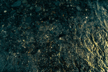 The bottom of a pond with pebbles and sand, visible through clear water.
Small pebbles, sand, and larger stones cover the bottom.