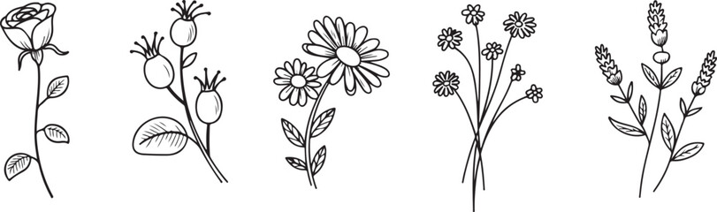 Set of Hand Drawn Wildflower and Garden Flower Illustrations