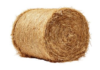 Round bale of hay, golden brown, fibrous texture, isolated