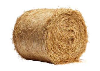 Round haystack of dry grass, tightly bundled roll