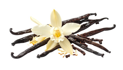 Vanilla flower and pods, dark brown, yellow center, black background