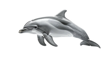 Sleek dolphin with a smooth, grey body swimming right