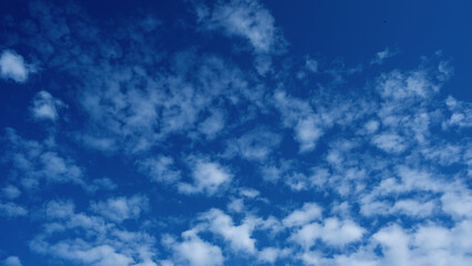 Cloudscape. Deep blue sky. Cumulus clouds and small silhouette of flying bird. Freedom