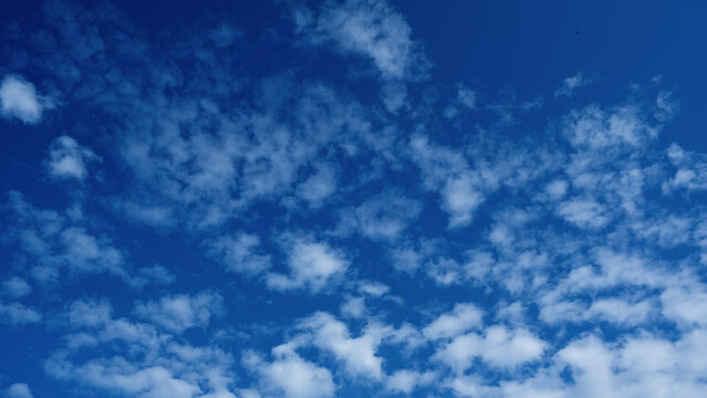Cloudscape. Deep blue sky. Cumulus clouds and small silhouette of flying bird. Freedom