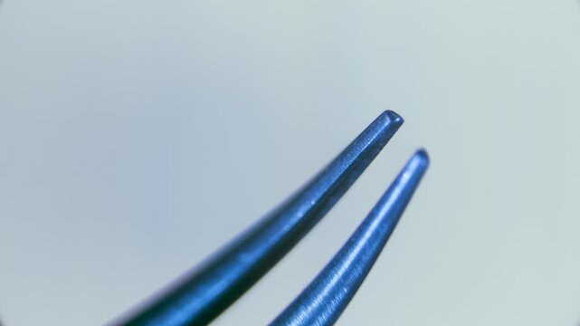 Surgical tweezers with sharp tips under microscope