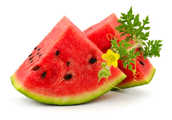 Fresh watermelon slices isolated on white
