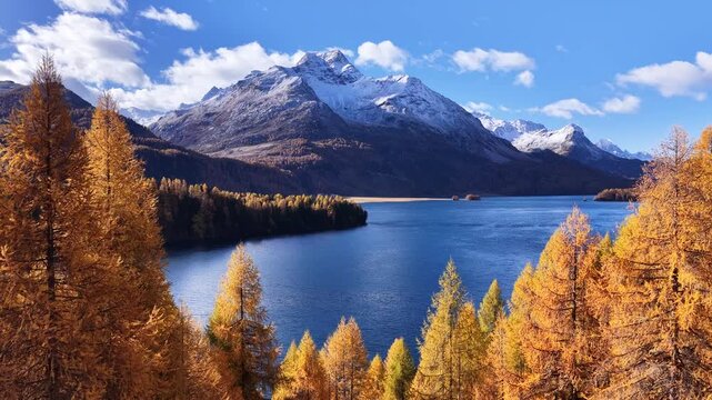 Engadin Switzerland blue lake, golden forest and snowy mountains in bright autumn light as drone moves forward to stunning nature landscape.