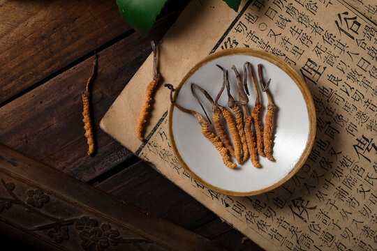 Cordyceps Sinensis for Traditional Chinese Medicine