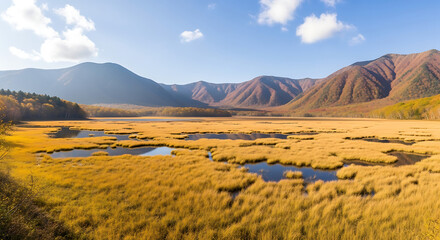 Aerial Shot of Oze National Park Marshland and Autumn Golden Grass