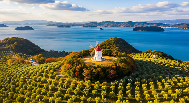Aerial View of Shodoshima Island Olive Park and Autumn Mediterranean Landscape