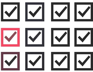 A grid of twelve square boxes with checkmarks, one highlighted in red. The marks are black