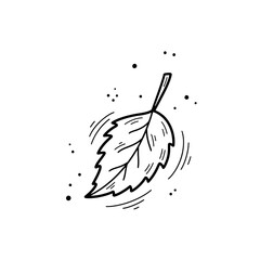 Line art of a leaf isolated on transparent background