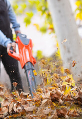  Person using a leaf blower to clear the leaves