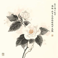 White camelia flowers on white glowing background. Traditional oriental ink painting sumi-e, u-sin, go-hua. Translation of hieroglyph - clarity.