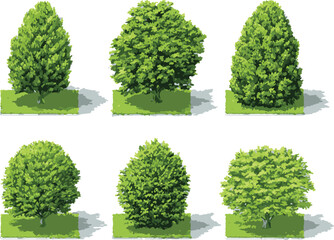 Top view flat vector set of garden plants and flowers isolated on transparent background