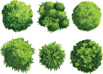 Design for a landscape architecture plan, map, or garden top view.