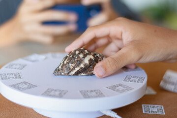 A close-up shot of a person using a smartphone to capture a seashell on a photogrammetry 3D scanner, illustrating the process of digital preservation and creation of 3D models for education or design.