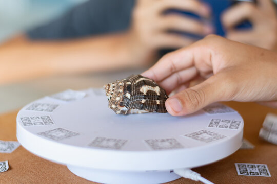 A close-up shot of a person using a smartphone to capture a seashell on a photogrammetry 3D scanner, illustrating the process of digital preservation and creation of 3D models for education or design.