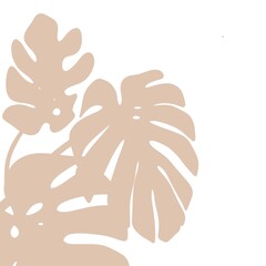  Monstera Leaf Illustration