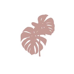  Monstera Leaf Minimalist