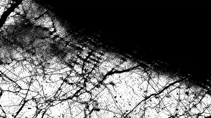 Abstract black and white grunge texture background with distressed effect isolated on transparent background