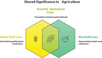 Shared Significance in Agriculture: a visual representation exploring the interrelation between essential agricultural crops and their impact on global food production and livelihoods.