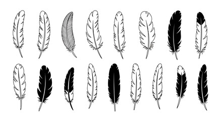 Collection of Hand-Drawn Feathers in Various Styles and Sizes.