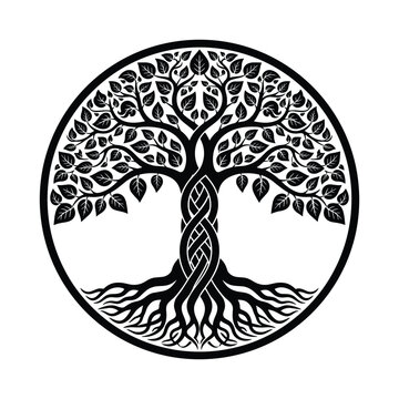 Celtic Tree of Life Vector &ndash; Yggdrasil Tree Knotwork Circle Design, Roots and Branches Mandala Vector Illustration, isolated black and white art