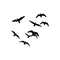 A silhouette of a flock of birds in flight against a white background in a minimalist composition style