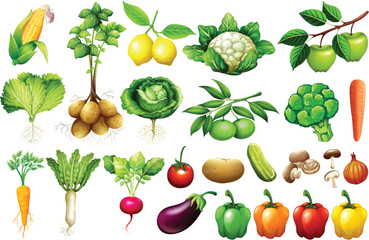 set of fruits and vegetables