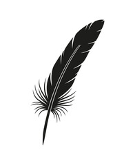 Vector set of fluffy bird feathers, a light illustration symbol for writing and art