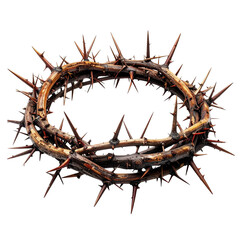 Symbol of Sacrifice: A meticulously crafted crown, symbolizing faith, resilience, and sacrifice. The detailed texture of the crown suggests a deep spiritual significance.