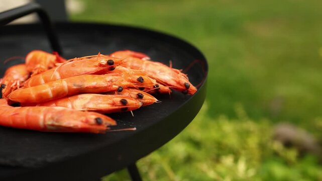 Freshly grilled shrimp rest on a black grill plate, with vibrant green grass providing a lively backdrop in a sunny outdoor environment, suggesting a barbecue gathering.