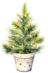 Obraz premium Tree pine decoration christmas.