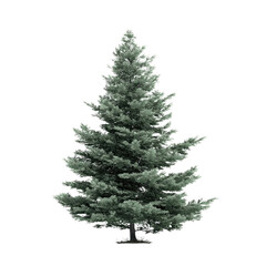 A vibrant green coniferous tree, with dense needles, standing tall and isolated on a pure transparent background, perfect for design cutout. background removed