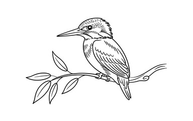 Black and white illustration of a kingfisher on a leafy branch
